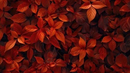 Aufkleber - Close up of a bunch of red leaves, perfect for autumn themed designs