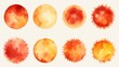 Various types of fruit arranged on a white background. Ideal for food and nutrition concepts
