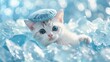cat in a snow