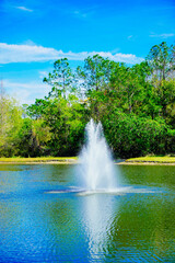 Canvas Print - A Florida community pond in spring