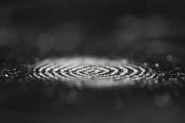Poster - A black and white photo of a circle of water