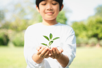 Wall Mural - Promoting eco awareness on reforestation and long-term environmental sustainability with asian boy holding sprout. Nurturing greener nature for future generation with sustainable ecosystem. Gyre