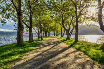 Canvas Print - path in the park