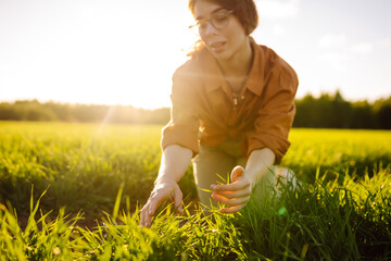 Wall Mural - A woman farmer with a modern tablet evaluates the shoots with her hand, green sprouts of wheat in the field. Agriculture, gardening or ecology concept.