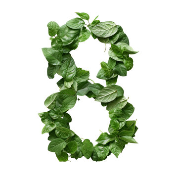 A collection of numbers from a pile of tropical leaves. Green leaves of tropical plants forming Figure eight isolated in a transparent background. Created with Generative AI.