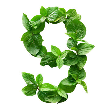 A collection of numbers from a pile of tropical leaves. Green leaves of tropical plants forming the number nine are isolated in a transparent background. Created with Generative AI.