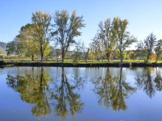 Canvas Print - Reflets d'arbres dans une rivière