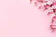 Elegant Pink Cherry Blossoms on Soft Pink Background, Perfect for Spring or Summer Themes. Copy space