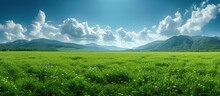 luxury panorama green field
