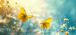 Two yellow butterflies are seen flying in the spring of flowers, captured in a bokeh panorama, and showcasing light gold, blue, and light yellow colors.