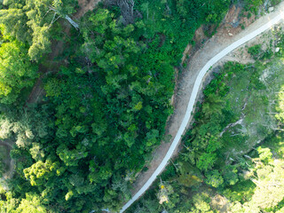 Wall Mural - Aerial view Drone camera rainforest trees ecology with healthy environment concept and summer background