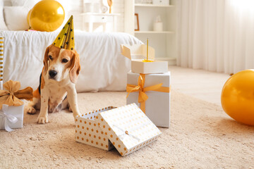 Sticker - Cute Beagle dog in party hat with gifts for birthday at home