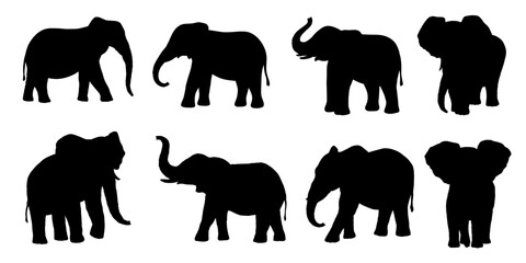 Wall Mural - Elephant vector silhouette set isolated on white background. African animals