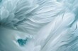 Close-up of white feathers on a background Evoking a sense of peace Spirituality And connection with the divine for inspirational and religious themes