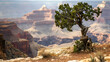 Dead Horse State Park, Dead Horse Point in early morning Blyden River Canyon, the largest green canyon in the world, fragment of the Panorama Route and The Three Rondels twisted tree at Island in the 