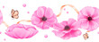 A seamless border featuring delicate pink anemones, adorned with ribbons, rhinestones, and butterflies. watercolor illustration for scrapbooking digital backgrounds website banners or social media