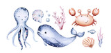 Fototapeta Dziecięca - Set of sea animals. Blue watercolor ocean fish, turtle, whale and coral. Shell aquarium mermaid submarine. Nautical dolphin marine illustration, jellyfish, starfish