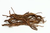 Fototapeta  - Organic dried roots of dandelion, Taraxacum officinale, traditional herbal medicine. Roots prepared for making tinctures and medicine on the white background.