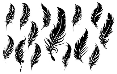 Black fluffy feather. Hand drawing vintage art realistic quill feathers for pen detailed isolated vector elegant silhouette sketch bird plume set