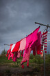 Pink clothes on washing line