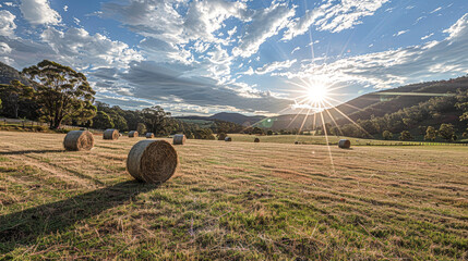 Canvas Print - The sun sets over a serene rural landscape with hay bales, casting long shadows on the undulating fields, showcasing the beauty of agricultural life.