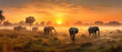 view of elephants in field on background