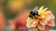A bee pollinates a flower. The bee is covered in yellow and black fur, and the flower is a light shade of pink.