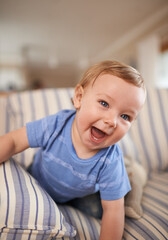 Sticker - Playing, laughing or portrait of baby in sofa or home for fun, growth or learning alone in living room. Happy, boy or face of a playful male kid on couch for child development or crawling in a house