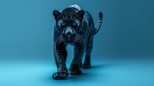 A Black Panther Is A Melanistic Variant Of The Common Leopard. It Is Native To Africa, Asia, And The Middle East.