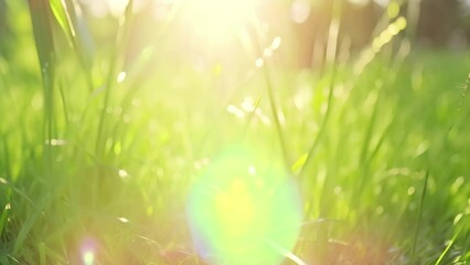 Poster - Green grass in the sun with bokeh effect. Nature background, Fresh and detailed green grass in a meadow close up, AI Generated