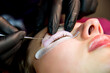 © Tetatet - preparation for eyelash lamination procedure. Beauty salon. Foam for fixation