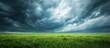 A vast field of green grass stretches out under a heavy, dark sky filled with rain clouds. The ominous clouds imply an impending rainstorm, casting a shadow over the peaceful landscape.