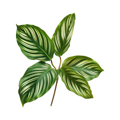 Aufkleber - Tropical leaves plant bush
