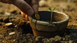 close-up photo of a pot being filled with soil and a young plant, with several coins scattered around
