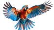 Captivating flights, feathered symphony, avian beauty celebrated exquisitely. This png file on a transparent background. 