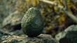 Fresh avocado fruit resting on a rock, suitable for healthy eating concept