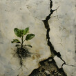 conceptual pieces that symbolize the healing effects of nature, like a plant growing through cracks in concrete.