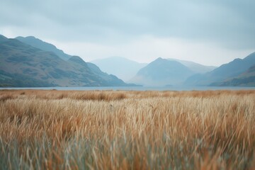 Aufkleber - Scenic view of grass field with majestic mountains in the background. Perfect for nature and landscape concepts
