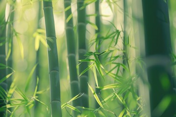 Aufkleber - Close up view of a bamboo tree with lush green leaves, suitable for nature and environment themes