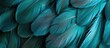 © TheWaterMeloonProjec - Detailed view of the textured turquoise feathers of a blue bird, showcasing the intricate patterns and shades of blue.