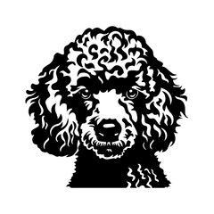 Canvas Print - Poodle dog portrait vector illustration