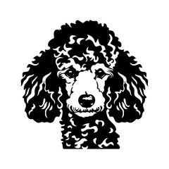 Wall Mural - Poodle dog portrait vector illustration