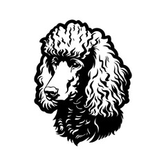 Sticker - Poodle dog portrait vector illustration