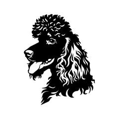 Sticker - Poodle dog portrait vector illustration