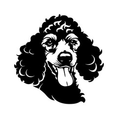 Sticker - Poodle dog portrait vector illustration