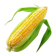 Poster - Corn