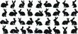 Rabbit silhouettes, various poses of rabbit, bunnt vector illustration, hare on white background, ideal rabbit, bunny for logo design, Easter themes, decorations