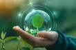 Hand holds up green plant in an engraved round glass box, defocused sunny background with many green plants, light yellow and light green, green technology and environmental change concept.