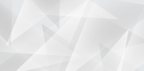 Wall Mural - abstract elegant background white and gray line texture. abstract white and grey geometric overlappi