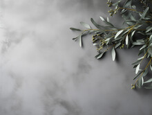 Wild Olive Branches On Gray Background. Copy Space. 